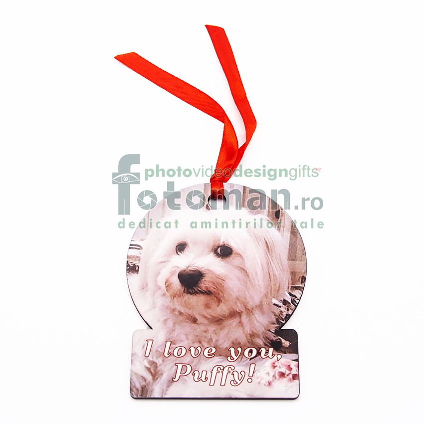 Decoraţiune masina