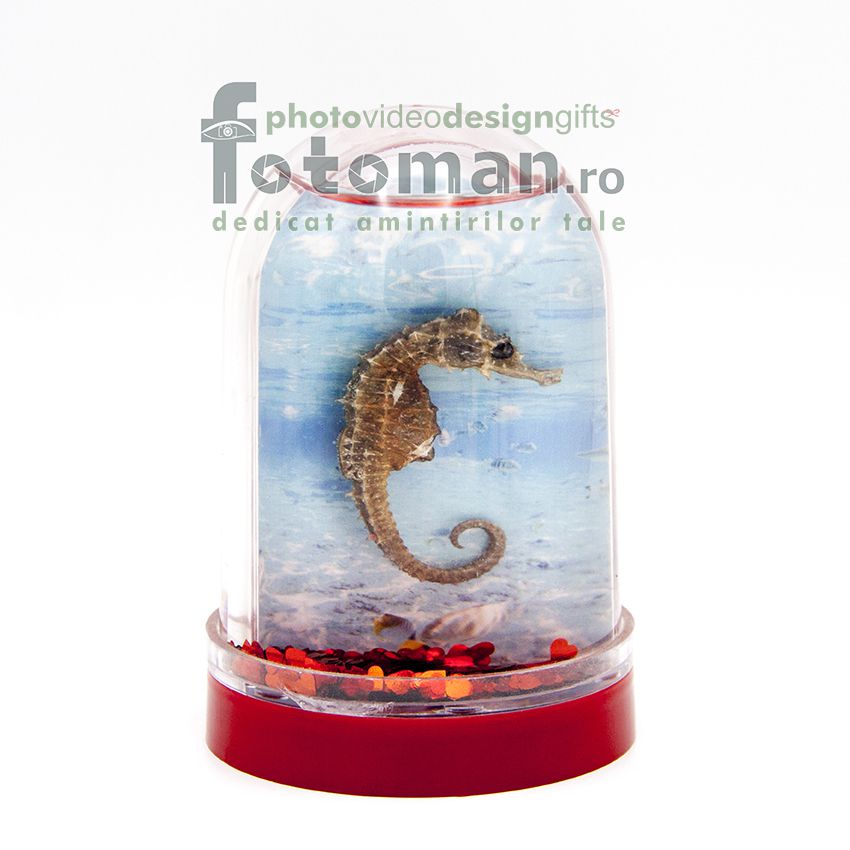Glob foto personalizat-mare