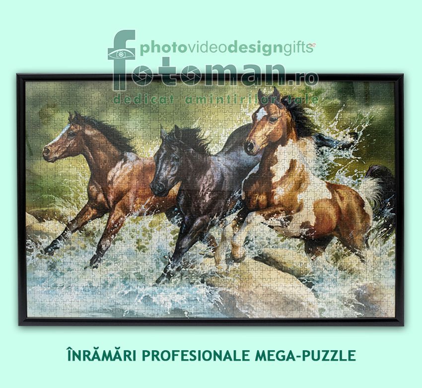Inramari puzzle