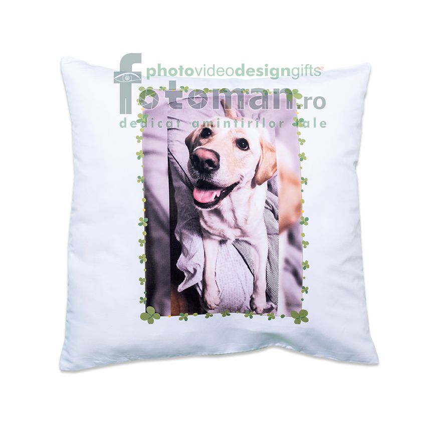 Perne...necuvantatoare 1