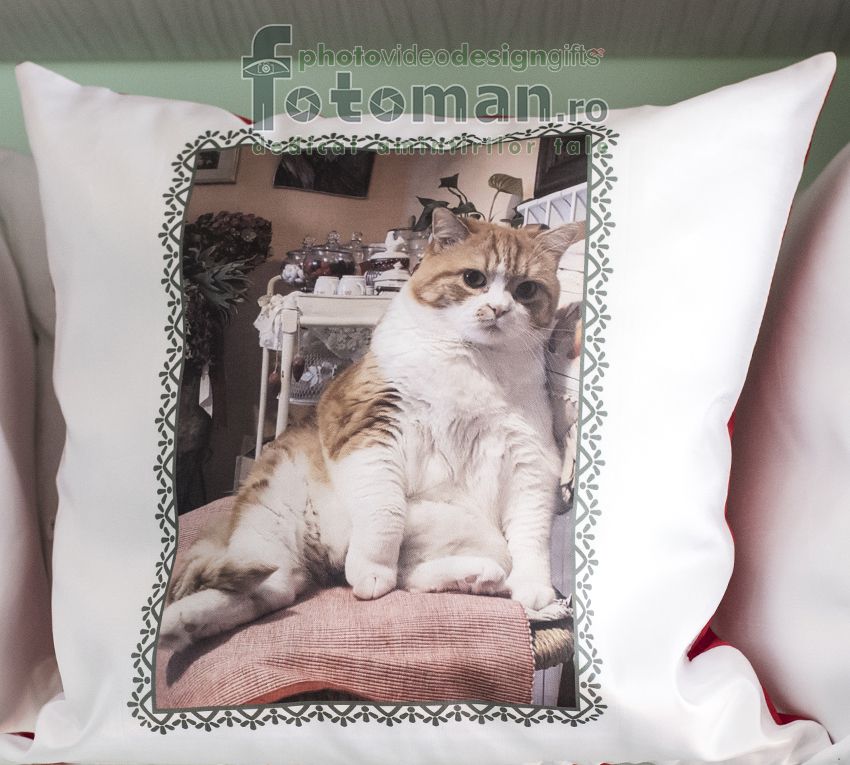 Perne...necuvantatoare 1