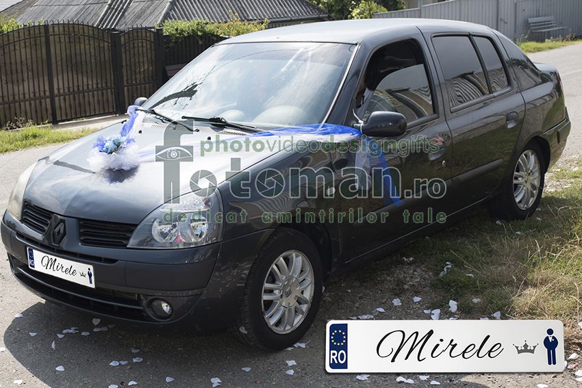 Placute auto nunta
