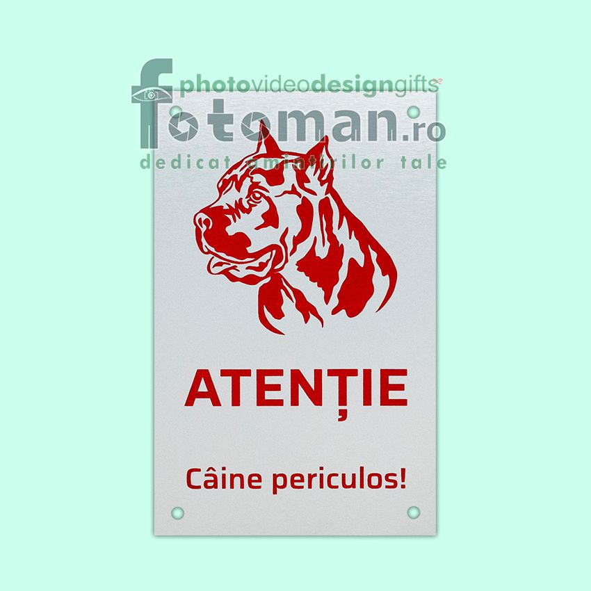 Placute personalizate gravate-dreptunghi