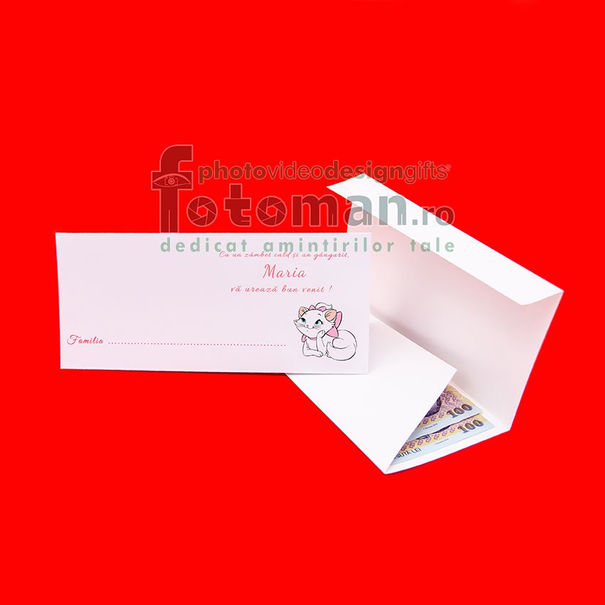 Plicuri de bani botez