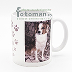 Cani personalizate