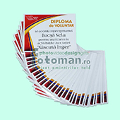 Diplome personalizate
