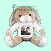 Jucarii personalizate de plus